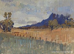 Noordelijk Landccape (Flinders Ranges-landschap met naderende re Noordelijk Landccape (Flinders Ranges-landschap met naderende re