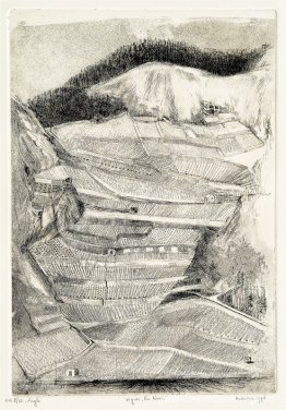 Wijngaarden genaamd En Noche - landschap bij Aigle in het kanton Wijngaarden genaamd En Noche - landschap bij Aigle in het kanton