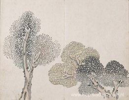 Zonder titel (een boom met kleine bladeren) Zonder titel (een boom met kleine bladeren)