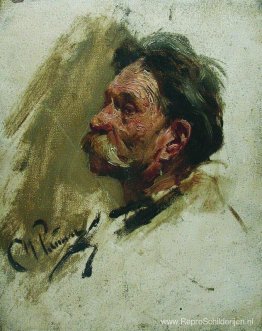 Portret van een boer Portret van een boer
