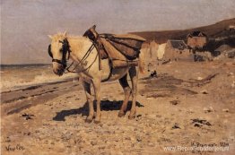 Paard voor het verzamelen van stenen in de Vela Paard voor het verzamelen van stenen in de Vela