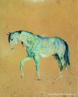 Paard Paard