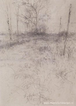 Landschap Landschap