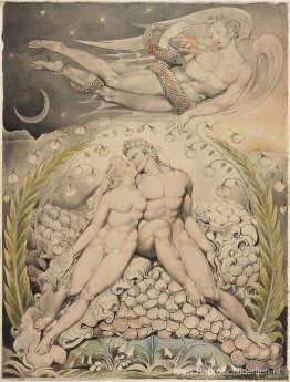 NIET GEDETECTEERD NIET GEDETECTEERD