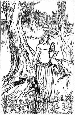 Enide met de gouden havik Enide met de gouden havik