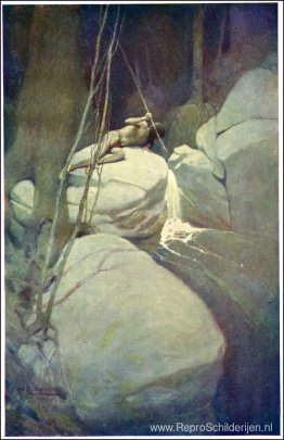 Schilderij van Native American Schilderij van Native American