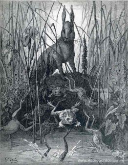 De haas en de kikkers De haas en de kikkers