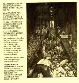 Varkensvlees 3 Varkensvlees 3