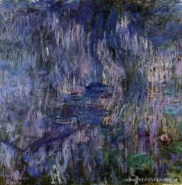 Waterlelies, weerspiegeling van een treurwilg Waterlelies, weerspiegeling van een treurwilg