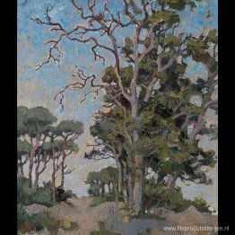 Studie van bluegumbomen Studie van bluegumbomen