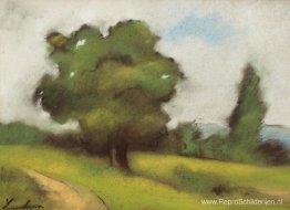 Plattelandspad (Brebu) Plattelandspad (Brebu)