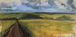 Neskuchnoje. Veld. Neskuchnoje. Veld.