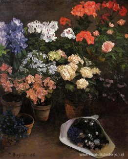 Studie van bloemen Studie van bloemen