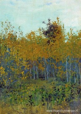 Aspen-bos Aspen-bos