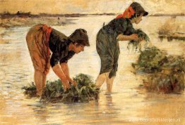 Le gramignaie al fiume Le gramignaie al fiume