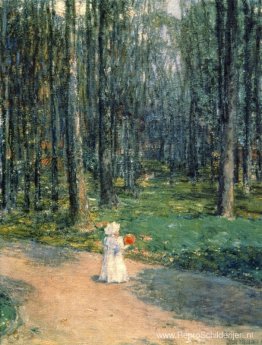 Centraal Park Centraal Park