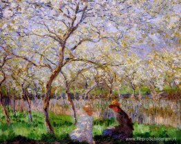 Lente Lente