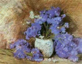 Korenbloemen Korenbloemen