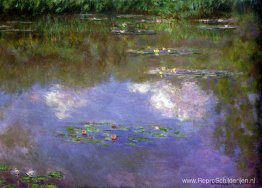 Waterlelies, de wolken Waterlelies, de wolken