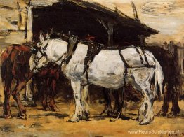 Getooide paarden Getooide paarden