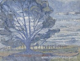 Willunga-landschap Willunga-landschap