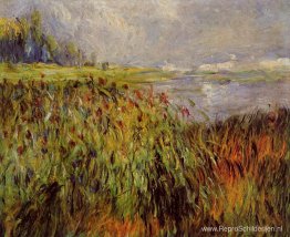 Lisdoddes aan de oevers van de Seine Lisdoddes aan de oevers van de Seine