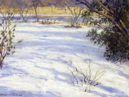 Sneeuw scène Sneeuw scène