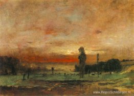 Grazende koeien Grazende koeien