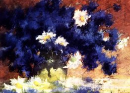 Korenbloemen Korenbloemen