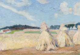 Hooibergen Hooibergen