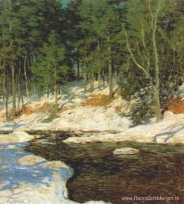 Ingevroren Ingevroren