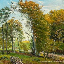 Weg door het bos, herfst Weg door het bos, herfst