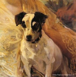 Portret van een Jack Russell Portret van een Jack Russell