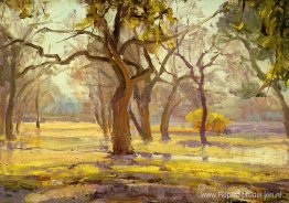 Zonlicht na regen Zonlicht na regen