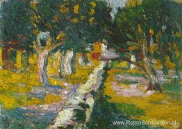 Boomgaard in Llane (Cadaques) Boomgaard in Llane (Cadaques)