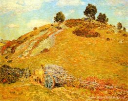 Borneroheuvel, Oude Lyme, Connecticut Borneroheuvel, Oude Lyme, Connecticut