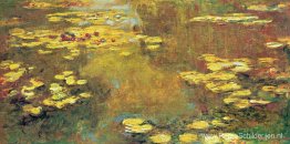 Waterlelies Waterlelies