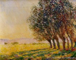 Wilgen bij zonsondergang Wilgen bij zonsondergang