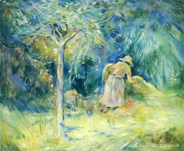 Hooien bij Mezy Hooien bij Mezy