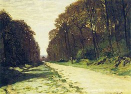 Weg in een bos Fontainebleau Weg in een bos Fontainebleau