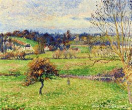 Veld bij Eragny Veld bij Eragny