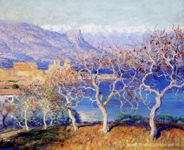 Vijgenbomen, Antibes Vijgenbomen, Antibes