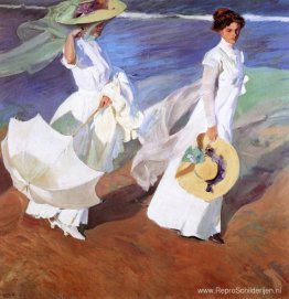 Promenade aan Zee Promenade aan Zee