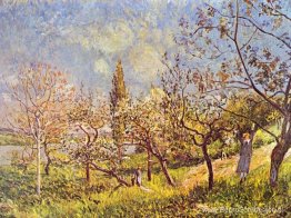 Boomgaard in het voorjaar Boomgaard in het voorjaar