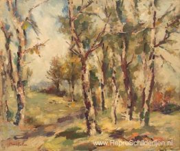 Berkenbossen Berkenbossen