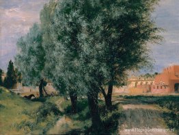 Bouwterrein met wilgen Bouwterrein met wilgen