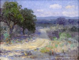 Een pad door het Texas Hill Country Een pad door het Texas Hill Country