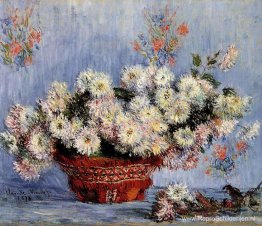 Chrysanten Chrysanten
