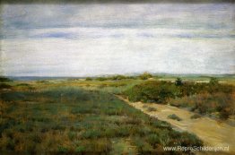 Dichtbij de zee (ook bekend als Shinnecock) Dichtbij de zee (ook bekend als Shinnecock)