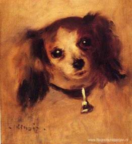 Hoofd van een hond Hoofd van een hond
